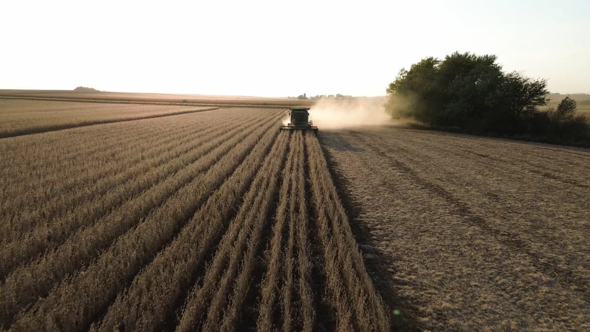 Bean Harvest Drone